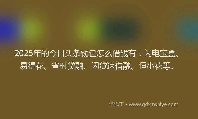 2025年的今日头条钱包怎么借钱有：闪电宝盒、易得花、省时贷融、闪贷速借融、恒小花等。