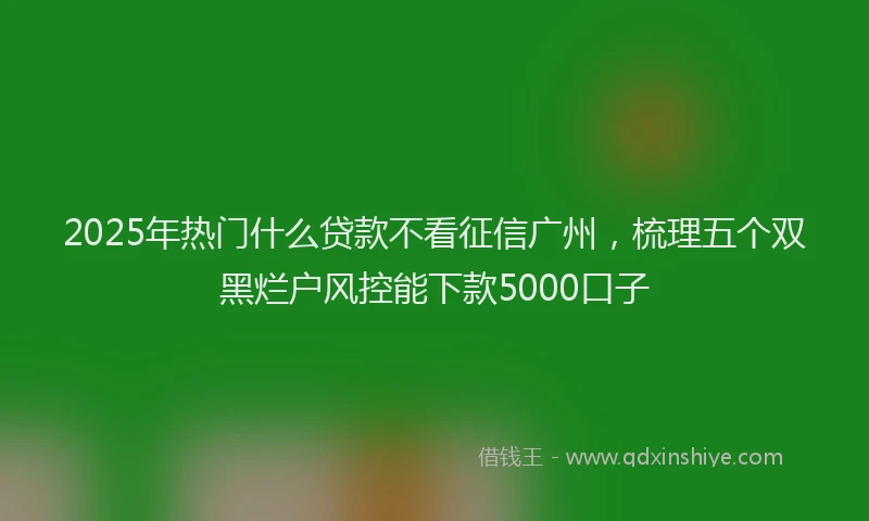2025年热门什么贷款不看征信广州，梳理五个双黑烂户风控能下款5000口子