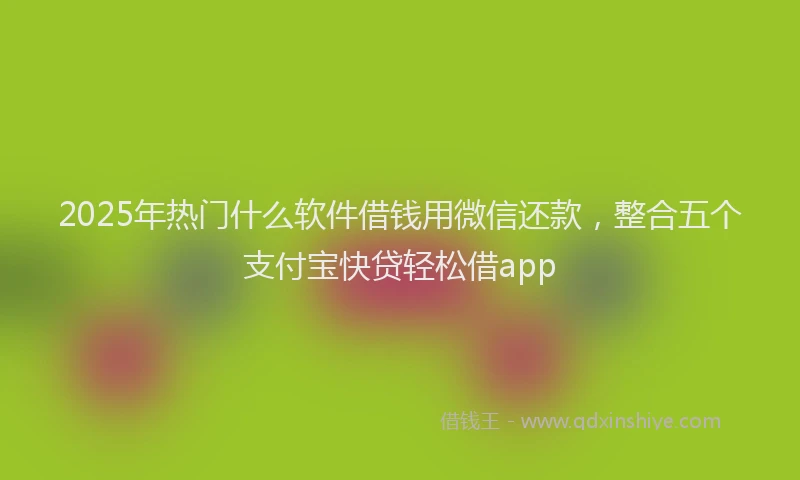 2025年热门什么软件借钱用微信还款，整合五个支付宝快贷轻松借app