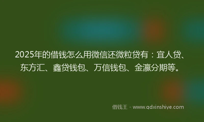 2025年的借钱怎么用微信还微粒贷有：宜人贷、东方汇、鑫贷钱包、万信钱包、金瀛分期等。