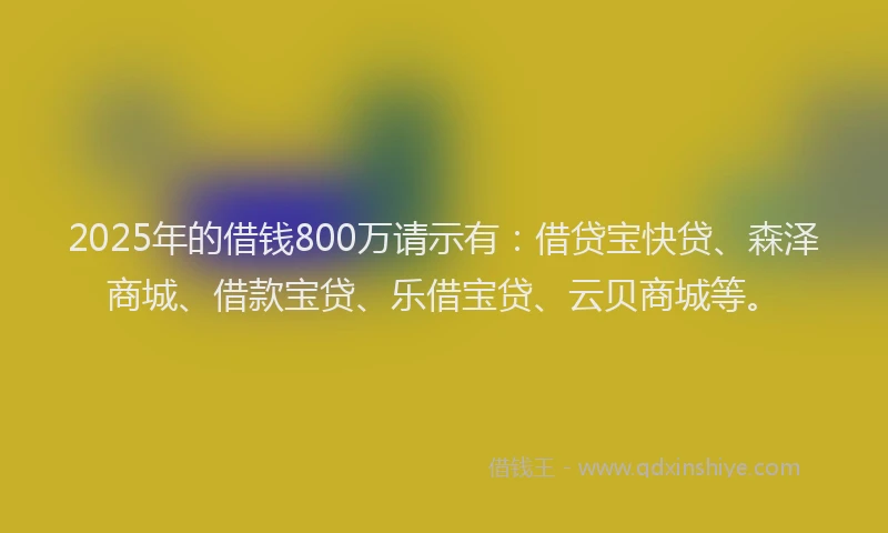 2025年的借钱800万请示有：借贷宝快贷、森泽商城、借款宝贷、乐借宝贷、云贝商城等。