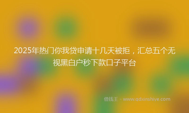 2025年热门你我贷申请十几天被拒，汇总五个无视黑白户秒下款口子平台