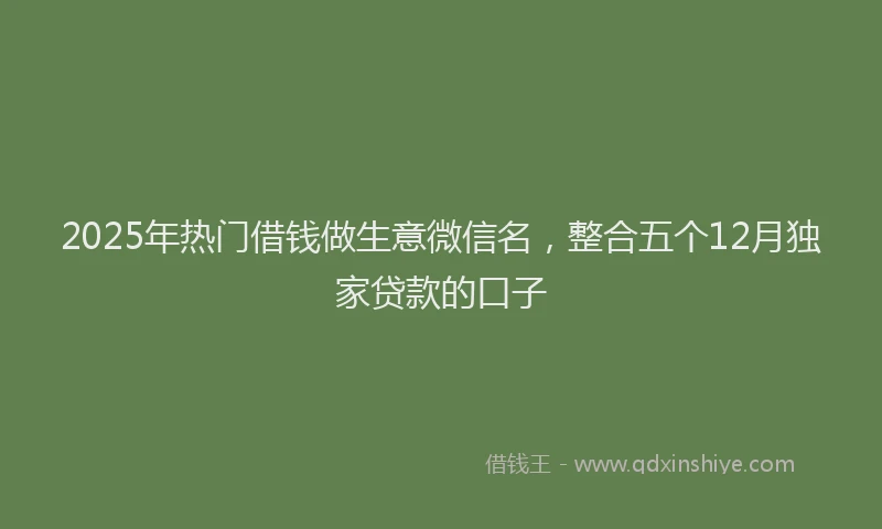 2025年热门借钱做生意微信名，整合五个12月独家贷款的口子