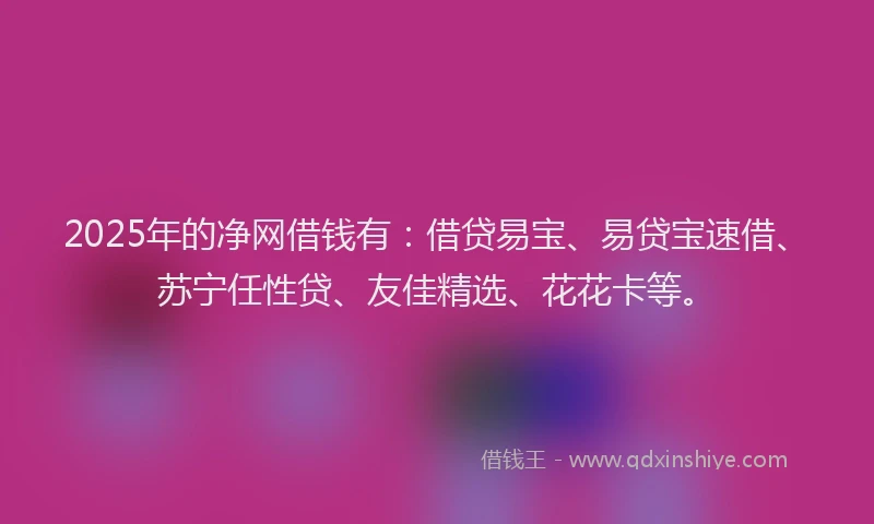 2025年的净网借钱有：借贷易宝、易贷宝速借、苏宁任性贷、友佳精选、花花卡等。