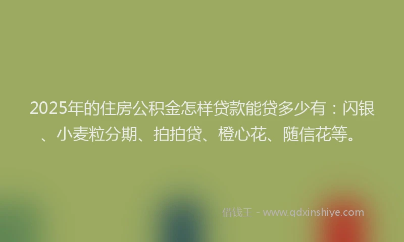 2025年的住房公积金怎样贷款能贷多少有：闪银、小麦粒分期、拍拍贷、橙心花、随信花等。