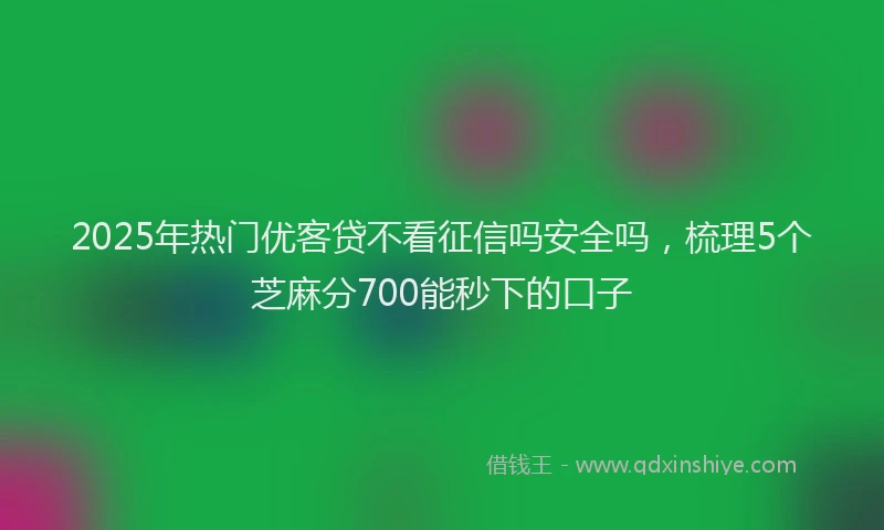2025年热门优客贷不看征信吗安全吗，梳理5个芝麻分700能秒下的口子