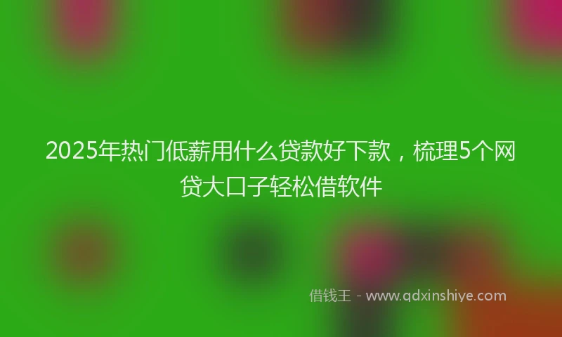 2025年热门低薪用什么贷款好下款，梳理5个网贷大口子轻松借软件