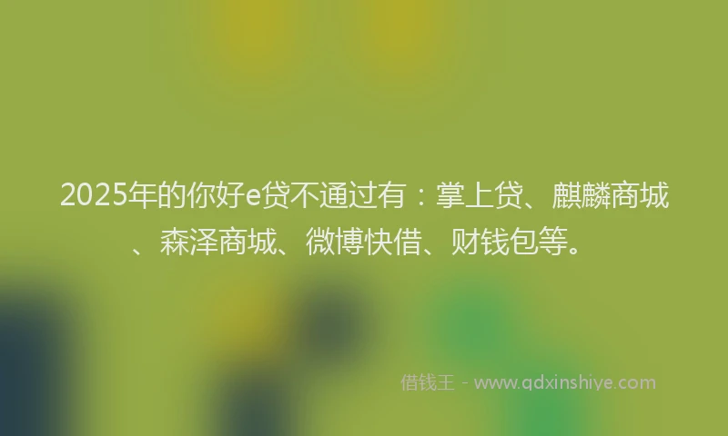 2025年的你好e贷不通过有：掌上贷、麒麟商城、森泽商城、微博快借、财钱包等。