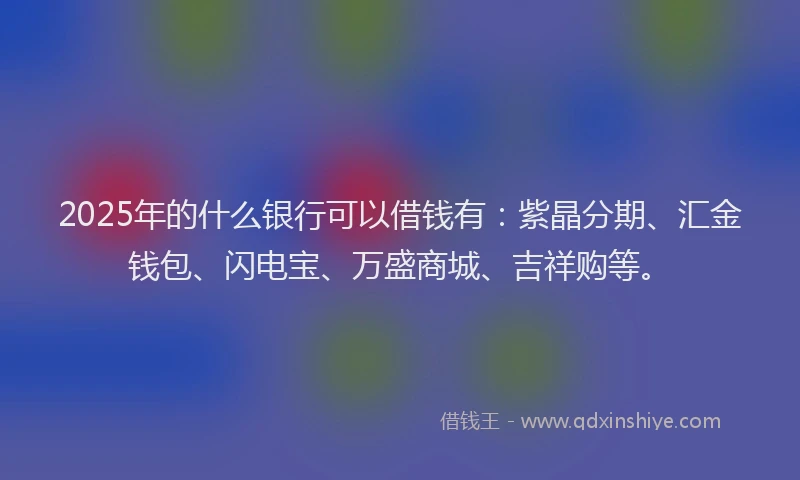 2025年的什么银行可以借钱有：紫晶分期、汇金钱包、闪电宝、万盛商城、吉祥购等。