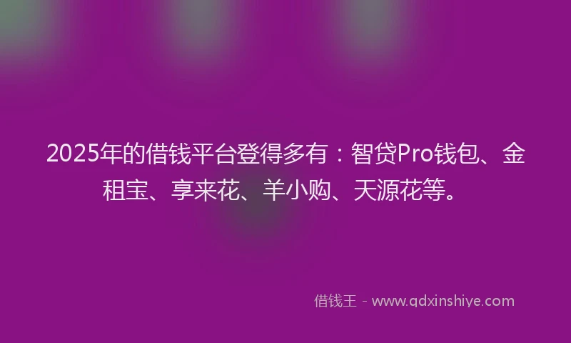 2025年的借钱平台登得多有：智贷Pro钱包、金租宝、享来花、羊小购、天源花等。
