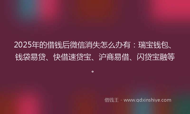 2025年的借钱后微信消失怎么办有：瑞宝钱包、钱袋易贷、快借速贷宝、沪商易借、闪贷宝融等。