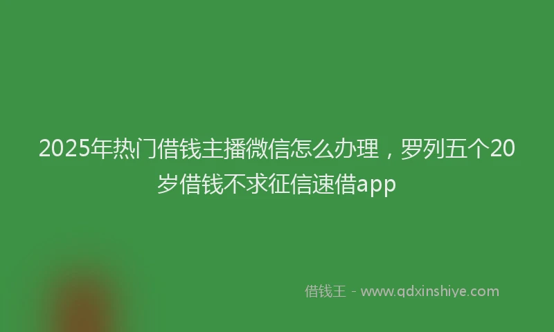 2025年热门借钱主播微信怎么办理，罗列五个20岁借钱不求征信速借app