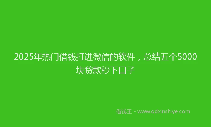 2025年热门借钱打进微信的软件，总结五个5000块贷款秒下口子
