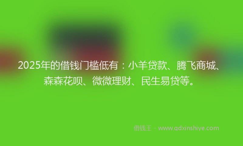 2025年的借钱门槛低有：小羊贷款、腾飞商城、森森花呗、微微理财、民生易贷等。