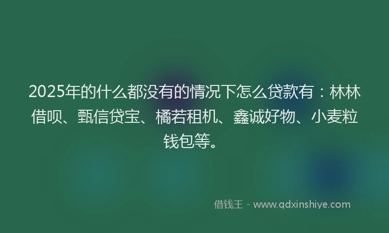 2025年的什么都没有的情况下怎么贷款有：林林借呗、甄信贷宝、橘若租机、鑫诚好物、小麦粒钱包等。