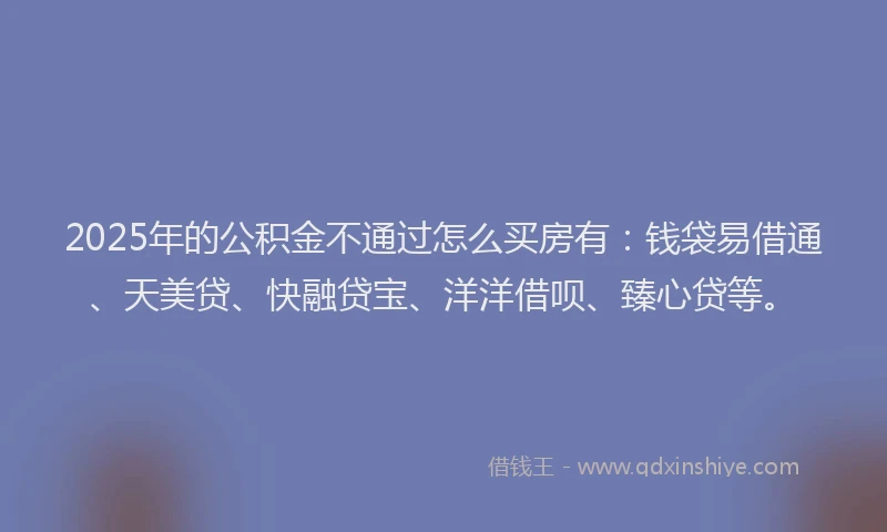2025年的公积金不通过怎么买房有：钱袋易借通、天美贷、快融贷宝、洋洋借呗、臻心贷等。