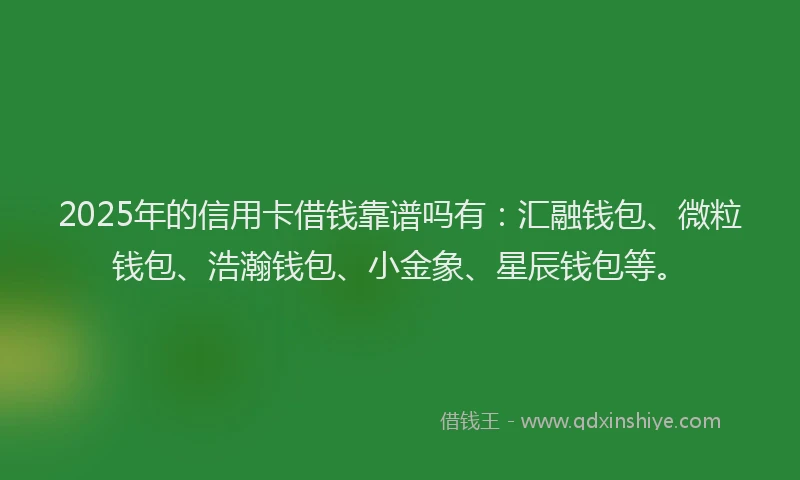 2025年的信用卡借钱靠谱吗有：汇融钱包、微粒钱包、浩瀚钱包、小金象、星辰钱包等。