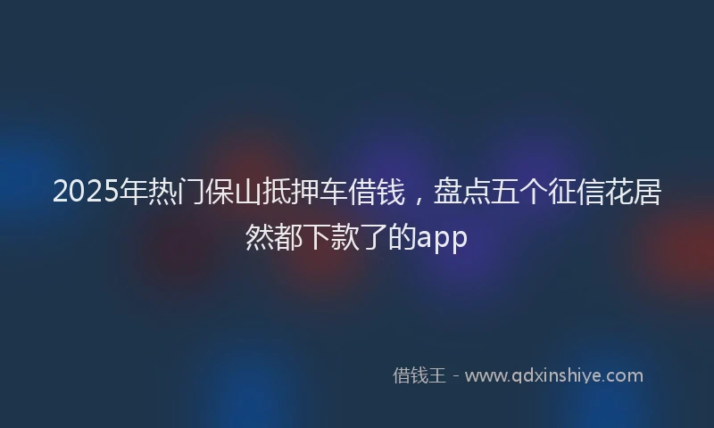 2025年热门保山抵押车借钱，盘点五个征信花居然都下款了的app