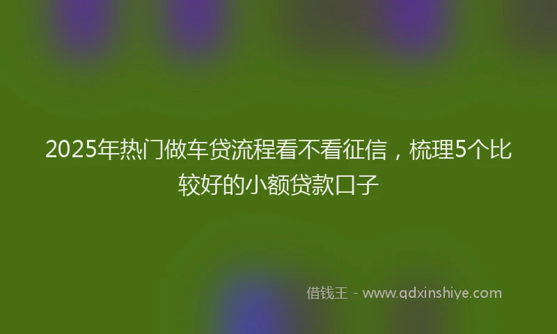 2025年热门做车贷流程看不看征信，梳理5个比较好的小额贷款口子