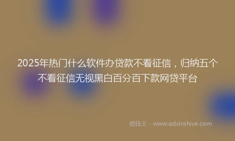 2025年热门什么软件办贷款不看征信，归纳五个不看征信无视黑白百分百下款网贷平台
