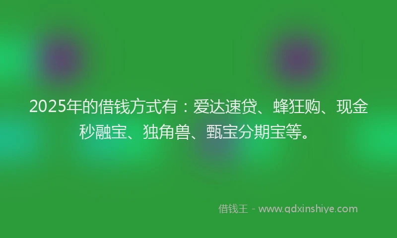 2025年的借钱方式有：爱达速贷、蜂狂购、现金秒融宝、独角兽、甄宝分期宝等。