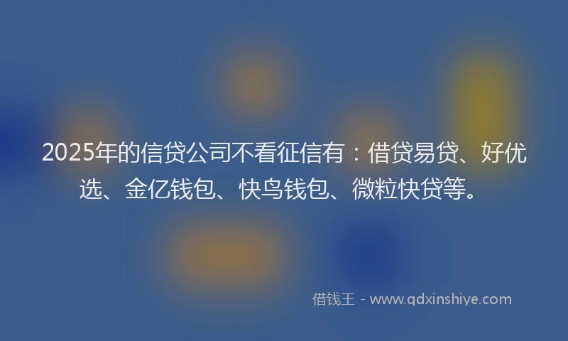 2025年的信贷公司不看征信有：借贷易贷、好优选、金亿钱包、快鸟钱包、微粒快贷等。