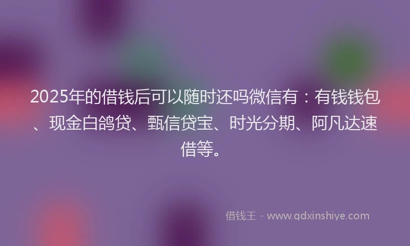 2025年的借钱后可以随时还吗微信有：有钱钱包、现金白鸽贷、甄信贷宝、时光分期、阿凡达速借等。