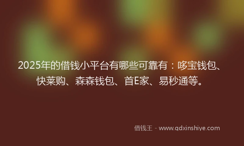 2025年的借钱小平台有哪些可靠有：哆宝钱包、快莱购、森森钱包、首E家、易秒通等。