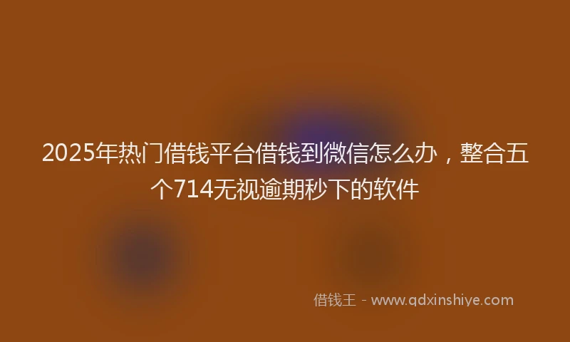 2025年热门借钱平台借钱到微信怎么办，整合五个714无视逾期秒下的软件