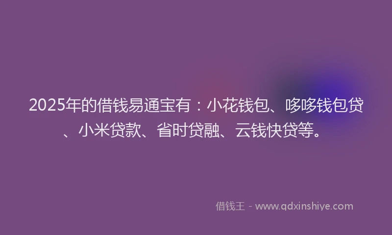 2025年的借钱易通宝有：小花钱包、哆哆钱包贷、小米贷款、省时贷融、云钱快贷等。