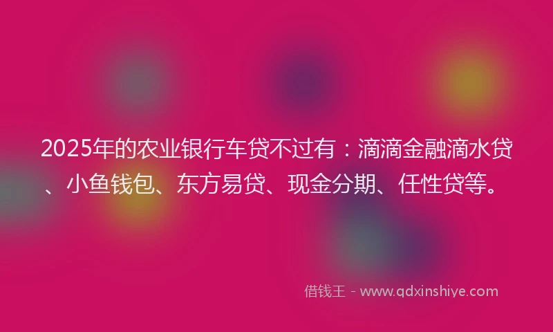 2025年的农业银行车贷不过有：滴滴金融滴水贷、小鱼钱包、东方易贷、现金分期、任性贷等。