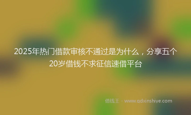 2025年热门借款审核不通过是为什么，分享五个20岁借钱不求征信速借平台