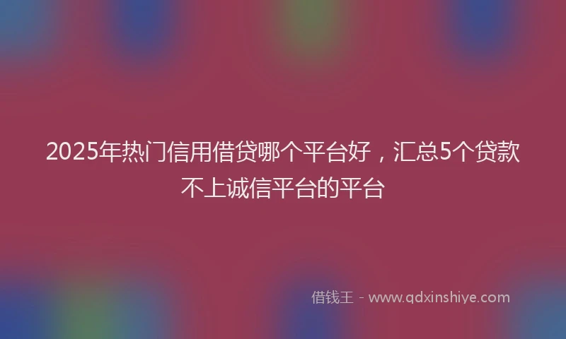 2025年热门信用借贷哪个平台好，汇总5个贷款不上诚信平台的平台