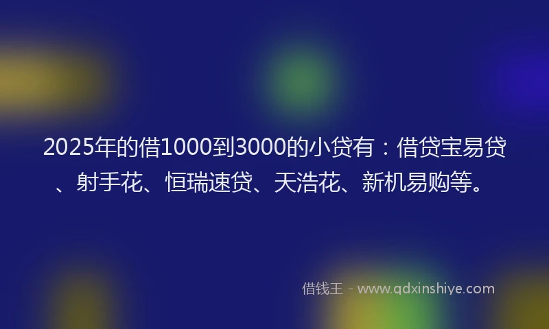 2025年的借1000到3000的小贷有：借贷宝易贷、射手花、恒瑞速贷、天浩花、新机易购等。