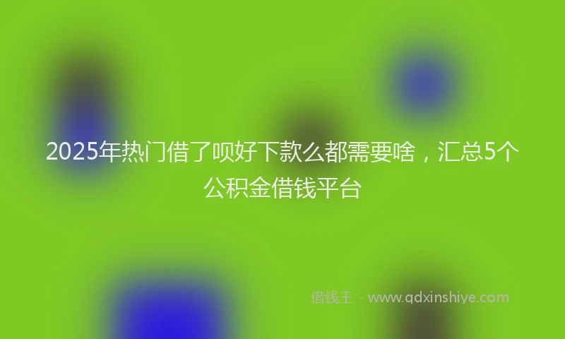 2025年热门借了呗好下款么都需要啥，汇总5个公积金借钱平台