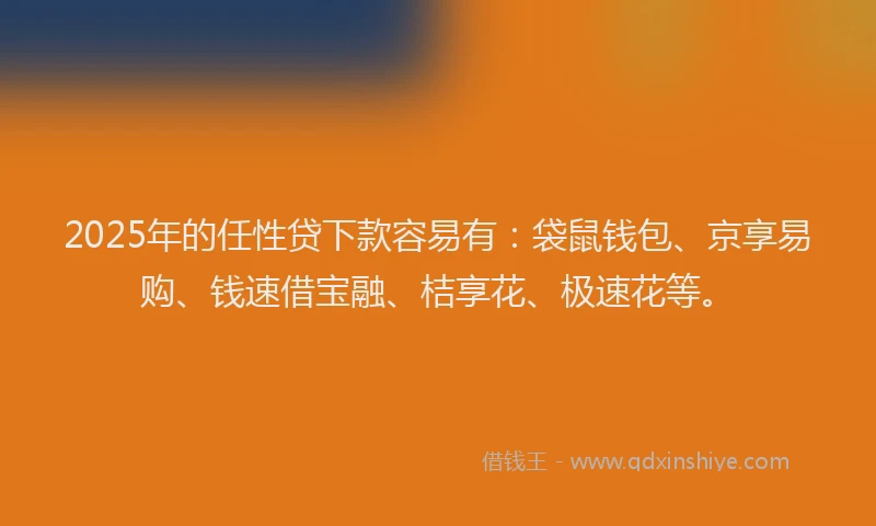 2025年的任性贷下款容易有：袋鼠钱包、京享易购、钱速借宝融、桔享花、极速花等。