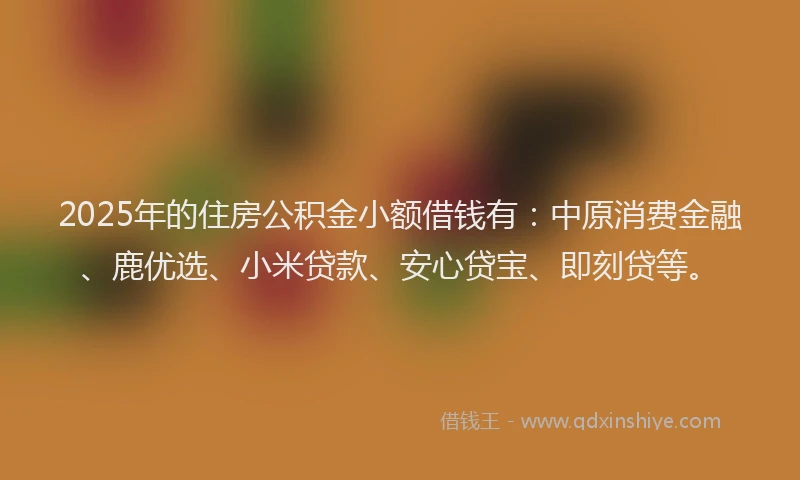 2025年的住房公积金小额借钱有：中原消费金融、鹿优选、小米贷款、安心贷宝、即刻贷等。