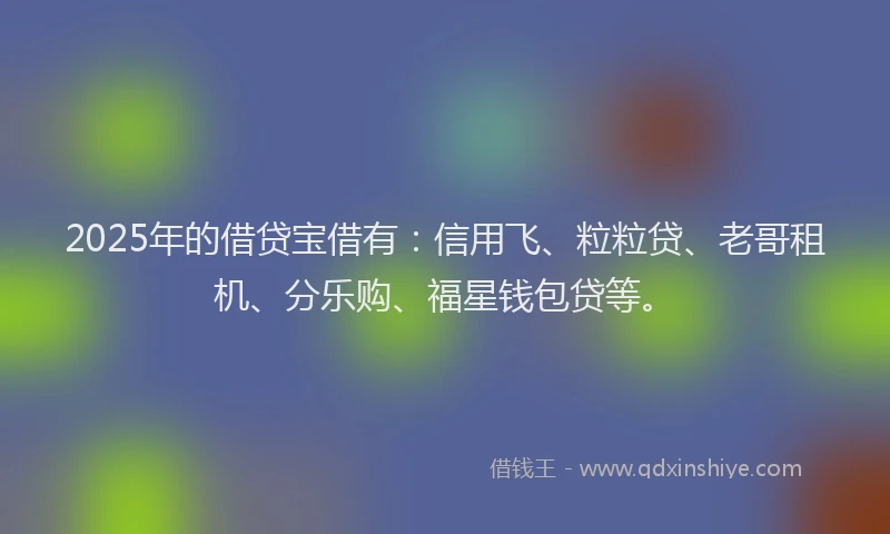 2025年的借贷宝借有：信用飞、粒粒贷、老哥租机、分乐购、福星钱包贷等。