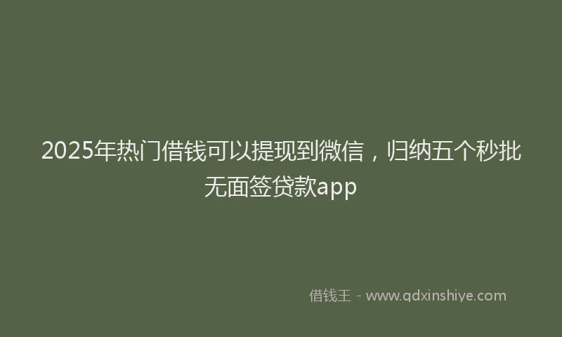 2025年热门借钱可以提现到微信，归纳五个秒批无面签贷款app