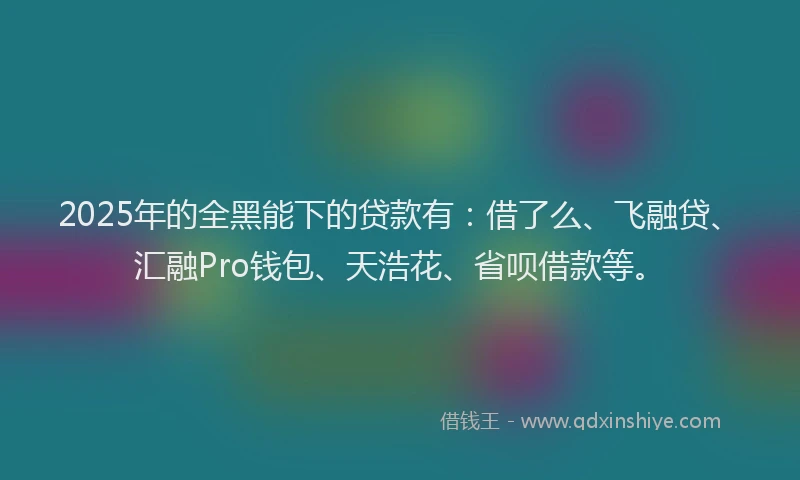 2025年的全黑能下的贷款有：借了么、飞融贷、汇融Pro钱包、天浩花、省呗借款等。