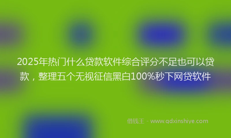 2025年热门什么贷款软件综合评分不足也可以贷款，整理五个无视征信黑白100%秒下网贷软件