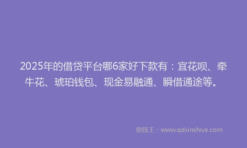 2025年的借贷平台哪6家好下款有：宜花呗、牵牛花、琥珀钱包、现金易融通、瞬借通途等。