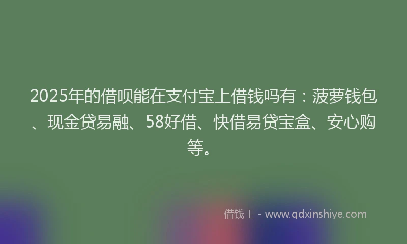2025年的借呗能在支付宝上借钱吗有：菠萝钱包、现金贷易融、58好借、快借易贷宝盒、安心购等。