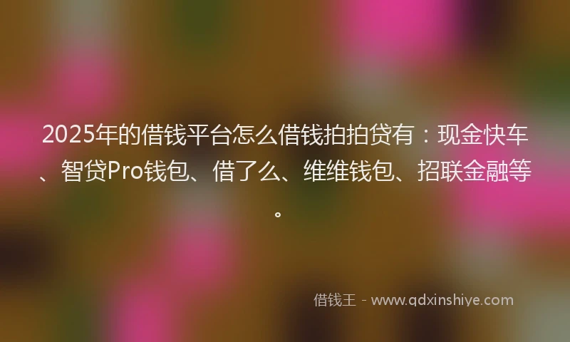 2025年的借钱平台怎么借钱拍拍贷有：现金快车、智贷Pro钱包、借了么、维维钱包、招联金融等。