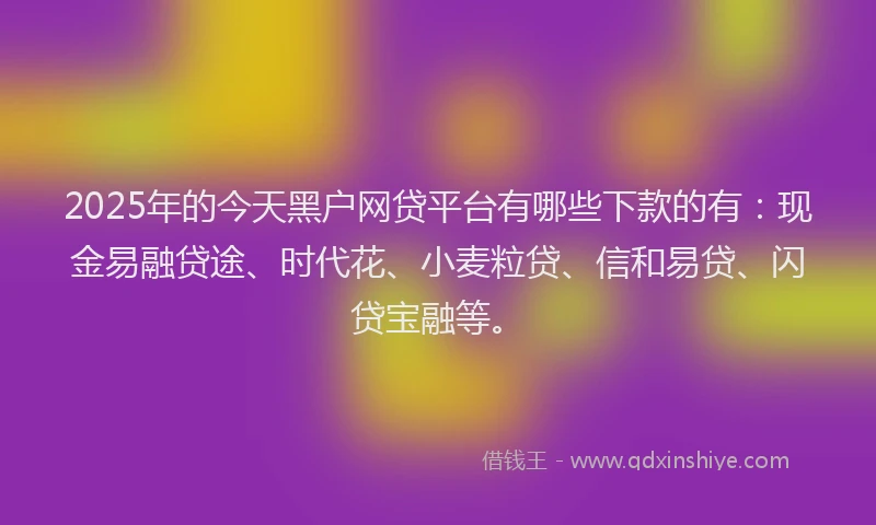 2025年的今天黑户网贷平台有哪些下款的有：现金易融贷途、时代花、小麦粒贷、信和易贷、闪贷宝融等。
