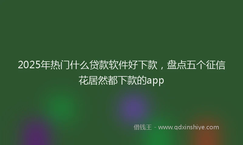 2025年热门什么贷款软件好下款，盘点五个征信花居然都下款的app