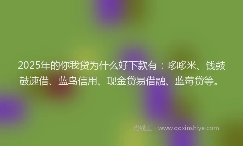 2025年的你我贷为什么好下款有：哆哆米、钱鼓鼓速借、蓝鸟信用、现金贷易借融、蓝莓贷等。