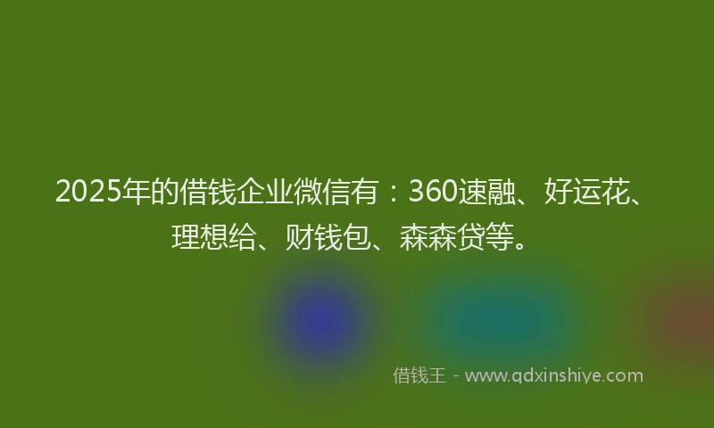 2025年的借钱企业微信有：360速融、好运花、理想给、财钱包、森森贷等。