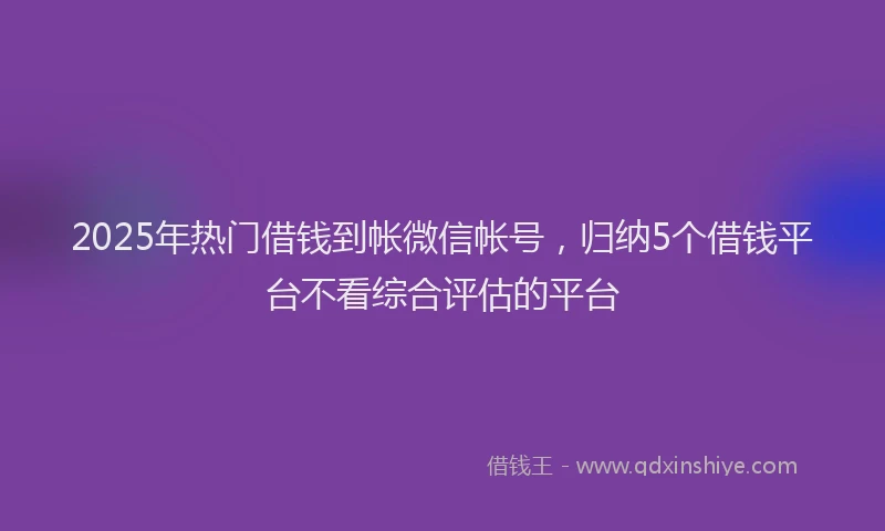 2025年热门借钱到帐微信帐号，归纳5个借钱平台不看综合评估的平台