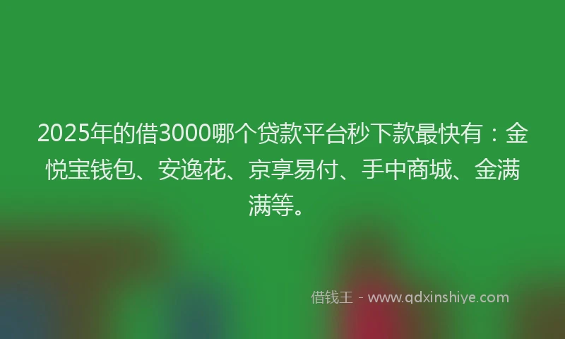 2025年的借3000哪个贷款平台秒下款最快有：金悦宝钱包、安逸花、京享易付、手中商城、金满满等。